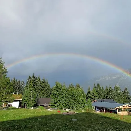 Hotel Alpengasthof Filzstein 3*